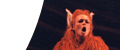 The Cunning Little Vixen (Opera Northern Ireland) [1]